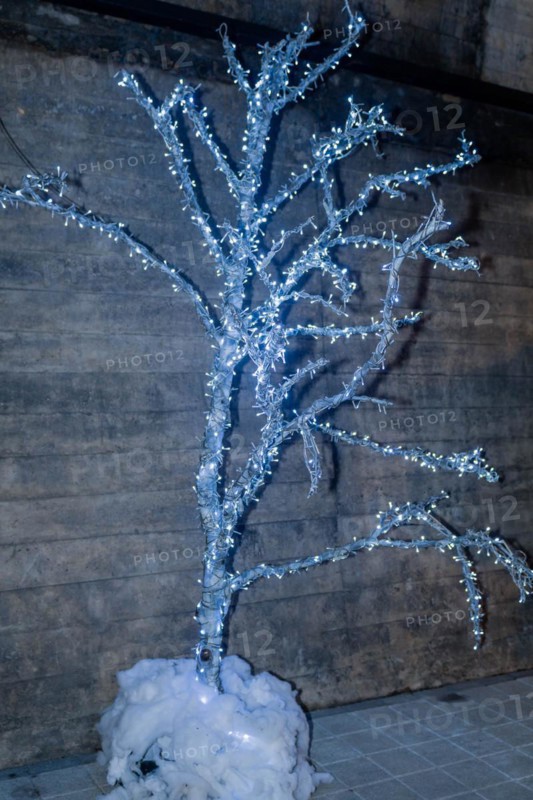 An artificial silver tree illuminated and decorated to resemble frost, set against a wooden backdrop, in South Korea