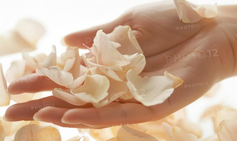 Close-up of a woman's hand with a neutral manicure, adorned with delicate flower petals AI generated