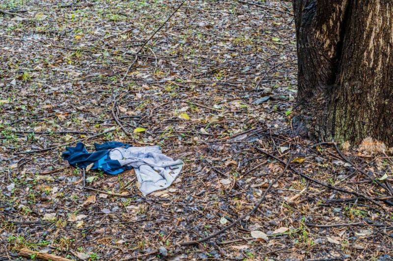 Abandoned clothing littering the forest floor amidst fallen leaves, in South Korea