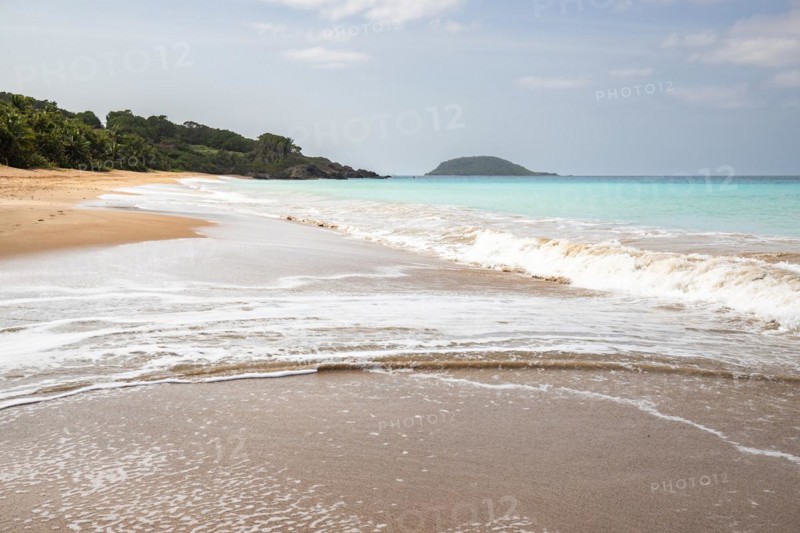 Lonely, wide sandy beach with turquoise-coloured sea. Tropical plants in a bay in the Caribbean sunshine. Plage de Cluny, Basse Terre, Guadeloupe, French Antilles, North America