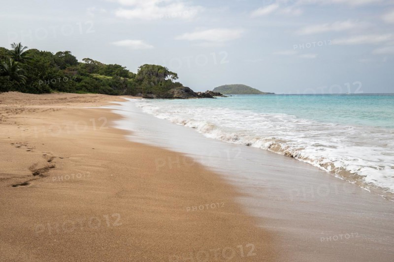 Lonely, wide sandy beach with turquoise-coloured sea. Tropical plants in a bay in the Caribbean sunshine. Plage de Cluny, Basse Terre, Guadeloupe, French Antilles, North America