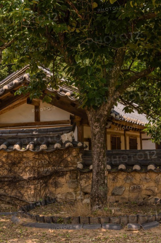 Tree growing in front of Korean style wall of stone, mortar and ceramic tiles in public park displaying traditional architecture in South Korea