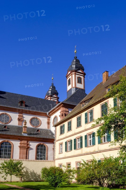 Monastery church, abbey church, Amorbach Monastery, Mainfranken, Lower Franconia, Franconia, Bavaria, Germany, Europe