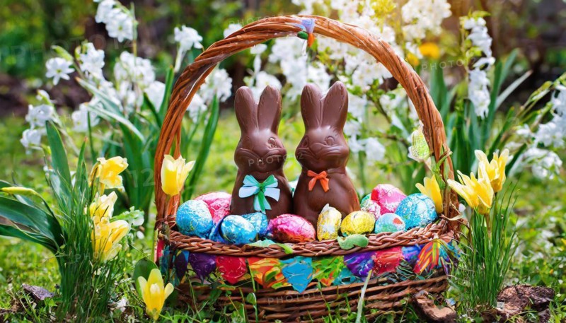 Chocolate Easter bunnies in a colourful Easter nest in the garden, symbolic Easter photo, AI generated, AI generated