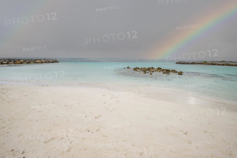 Caribbean dream beach with palm trees, white sandy beach and turquoise-coloured, crystal-clear water in the sea. Shallow bay with rainbow. Plage de Sainte Anne, Grande Terre, Guadeloupe, French Antilles, North America