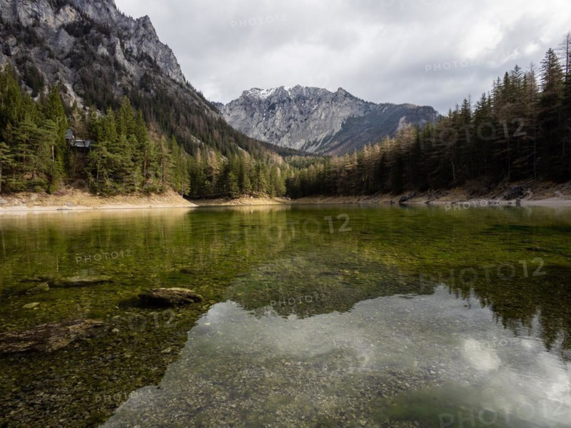 Gruener See, Tragoess, Styria, Austria, Europe