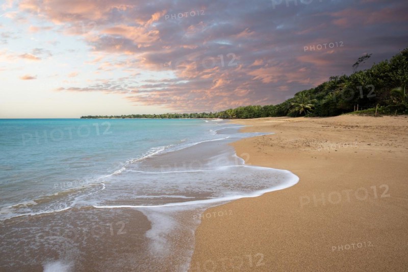Lonely, wide sandy beach with turquoise-coloured sea. Tropical plants in a bay at sunset in the Caribbean. Plage de Cluny, Basse Terre, Guadeloupe, French Antilles, North America