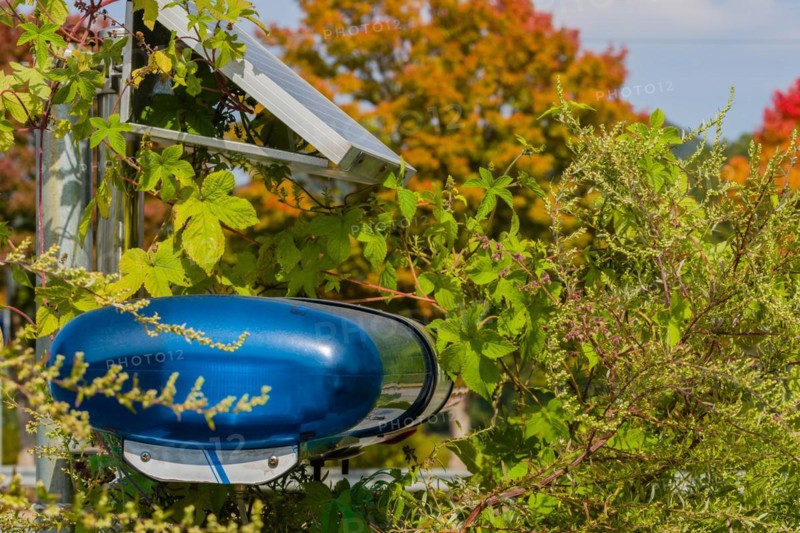 Closeup of small solar panel attached to metal support frame used to power police lights hidden by overgrown bushes in Daejeon, South Korea, Asia
