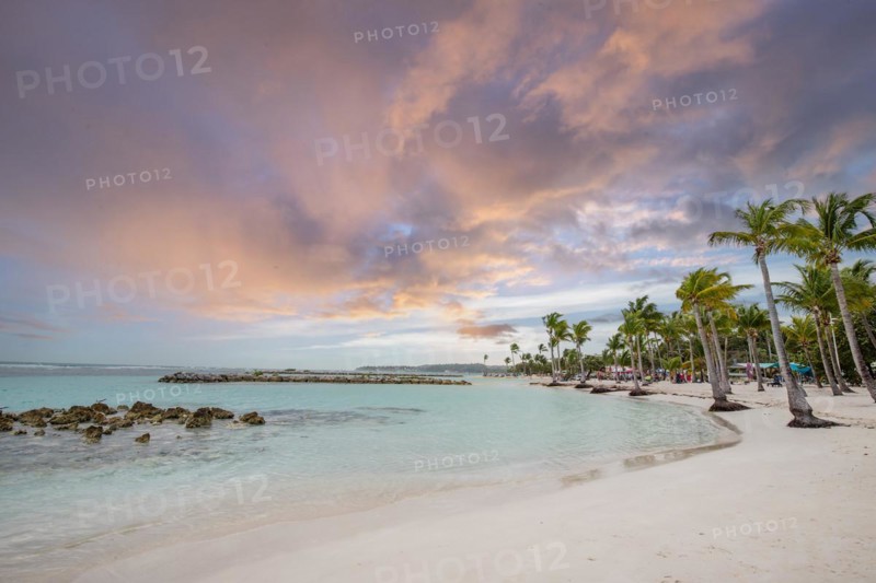 Caribbean dream beach with palm trees, white sandy beach and turquoise-coloured, crystal-clear water in the sea. Shallow bay at sunset. Plage de Sainte Anne, Grande Terre, Guadeloupe, French Antilles, North America