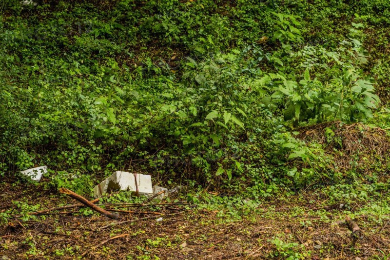 Styrofoam debris littering a green forest, a sign of environmental neglect, in South Korea