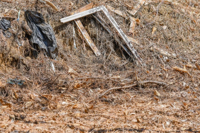 A broken wooden frame lies in dry brush, suggesting neglect and littering, in South Korea