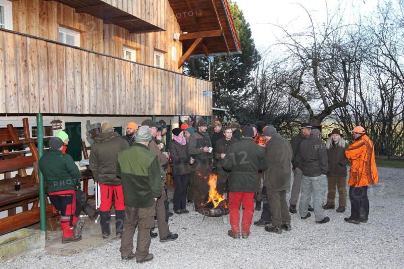 Wild boar (Sus scrofa) end of the hunt, amusing hunter's round, so-called Schuesseltreiben, tradition, Allgaeu, Bavaria, Germany, Europe