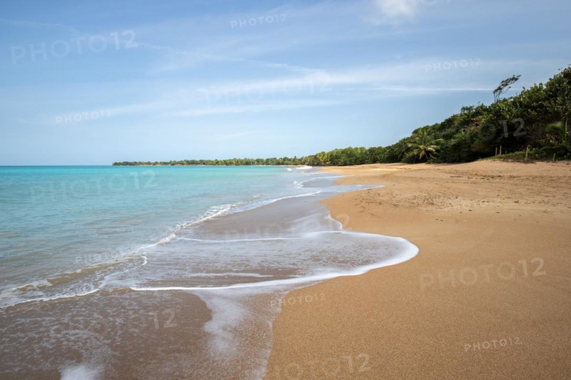Lonely, wide sandy beach with turquoise-coloured sea. Tropical plants in a bay in the Caribbean sunshine. Plage de Cluny, Basse Terre, Guadeloupe, French Antilles, North America