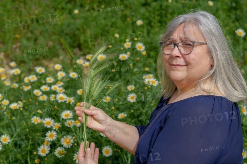 Older white-haired woman in field with ears of barley in her hands with a field of daisies in the background