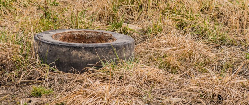 A weathered tire half-buried in overgrown, dry weeds, in South Korea