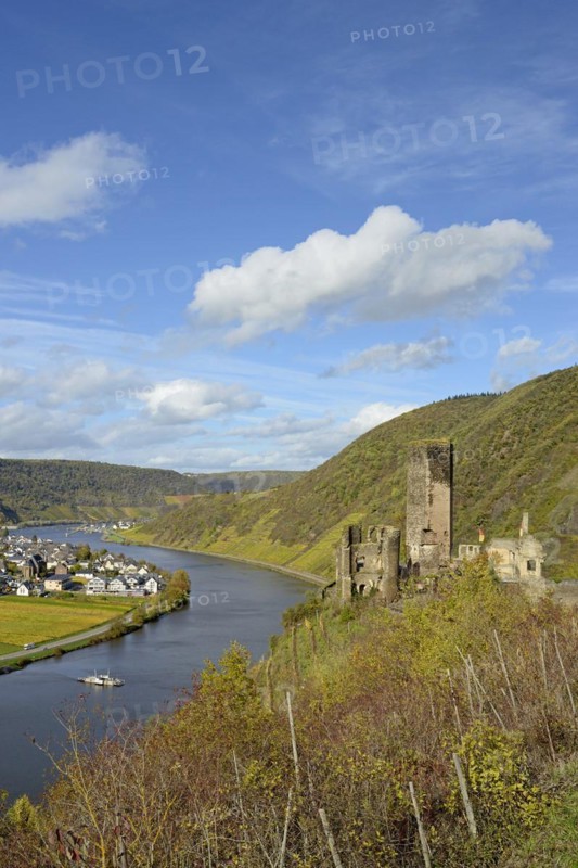 View of the ruins of Metternich Castle near Beilstein and the wine village of Ellenz-Poltersdorf, Ellenz district, blue cloudy sky, Moselle, Rhineland-Palatinate, Germany, Europe