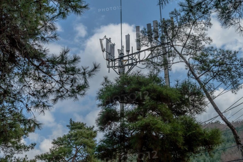 Cellphone tower behind pine trees with beautiful cloudy blue sky in background in South Korea