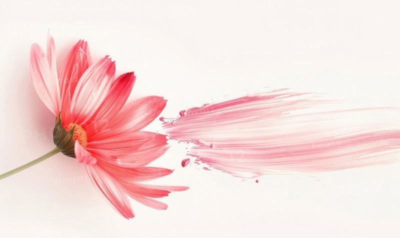 A lone brush stroke creating a chamomile petal. Pastel pink paint stroke and pink flower on white background AI generated