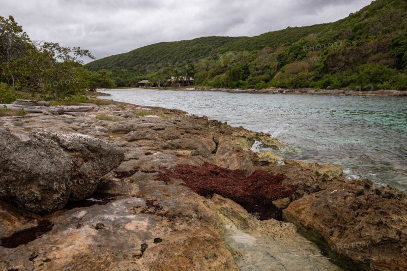Rocky coast, long bay by the sea at sunset. Dangerous view of the Caribbean Sea. Tropical climate on a cloudy day in La Porte d'Enfer, Grande Terre, Guadeloupe, French Antilles, North America