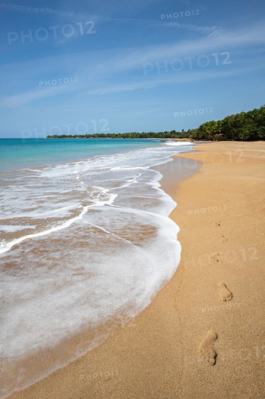Lonely, wide sandy beach with turquoise-coloured sea. Tropical plants in a bay in the Caribbean sunshine. Plage de Cluny, Basse Terre, Guadeloupe, French Antilles, North America