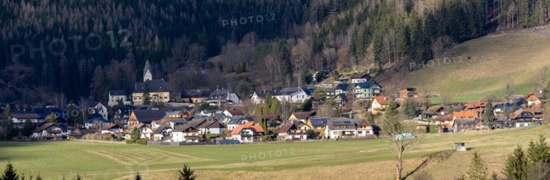 Oberort, municipality of Tragoess-St. Katharein, panoramic view, Styria, Austria, Europe