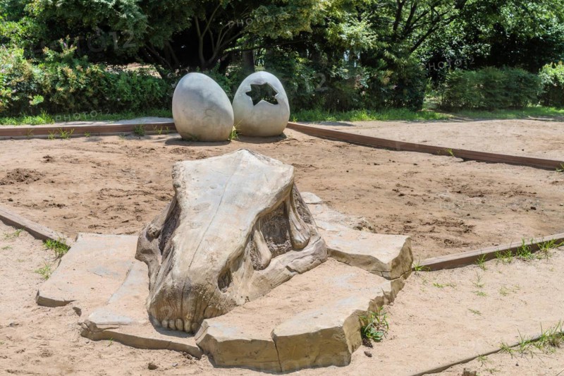 A dinosaur skull and egg replicas in a sandbox, offering an educational play space, in Ulsan, South Korea, Asia