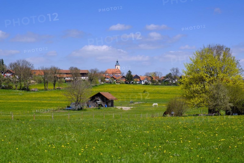 Reichling, Pfaffenwinkel, Upper Bavaria, Bavaria, Germany, Europe