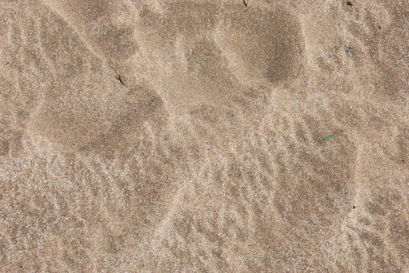 Close-up of sandy surface showing detailed granular texture and natural patterns