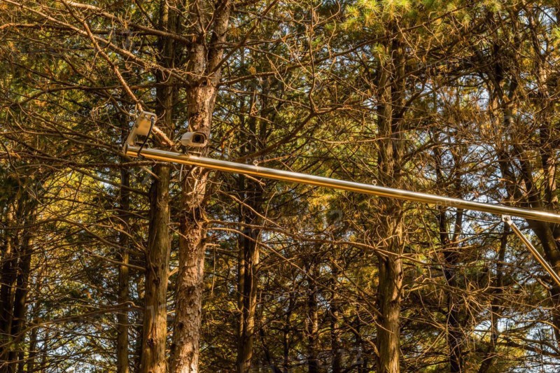 Two closed circuit cameras on chrome metal bar in front of stand of trees in South Korea