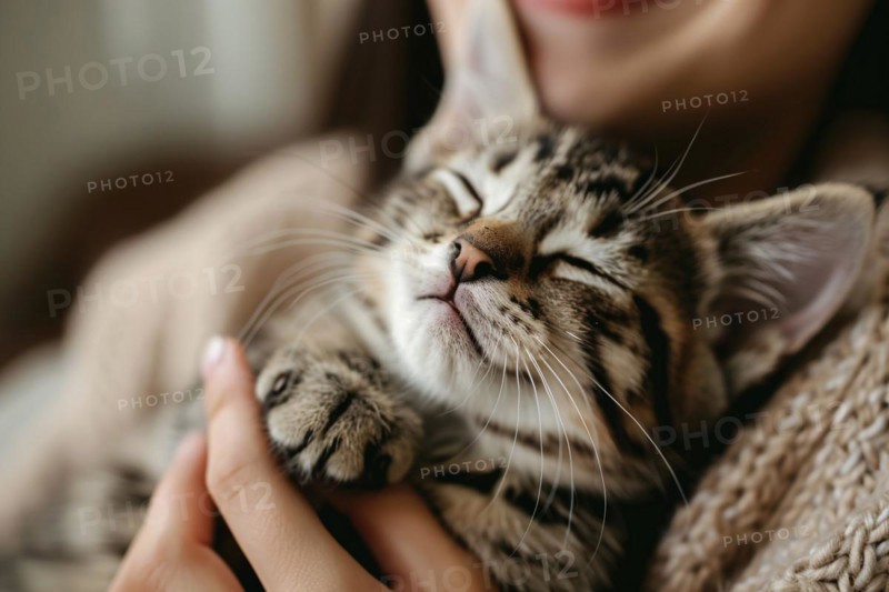 Woman cuddling with young pet cat. KI generiert, generiert, AI generated