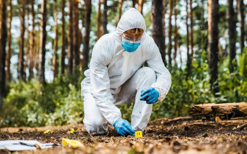 Securing evidence at a crime scene in the forest, KTU, forensic investigation by the criminal investigation department, KI generated, AI generated