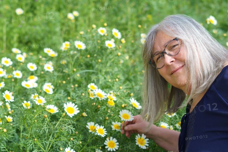 Smiling white-haired mature woman picking wild daisies in the field