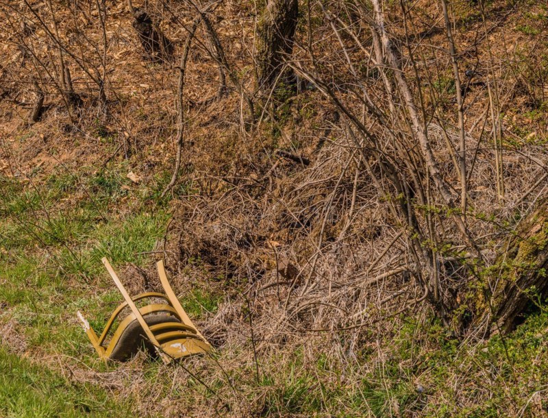 A neglected wooden chair amongst dry plants, discarded by the roadside, in South Korea