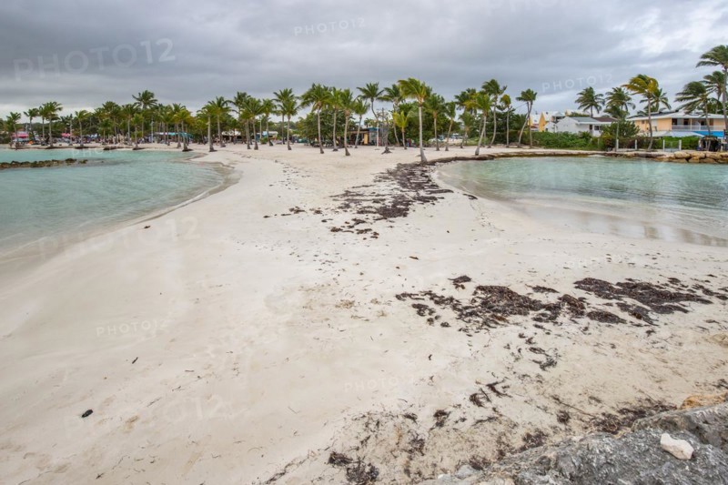 Caribbean dream beach with palm trees, white sandy beach and turquoise-coloured, crystal-clear water in the sea. Shallow bay on a cloudy day. Plage de Sainte Anne, Grande Terre, Guadeloupe, French Antilles, North America