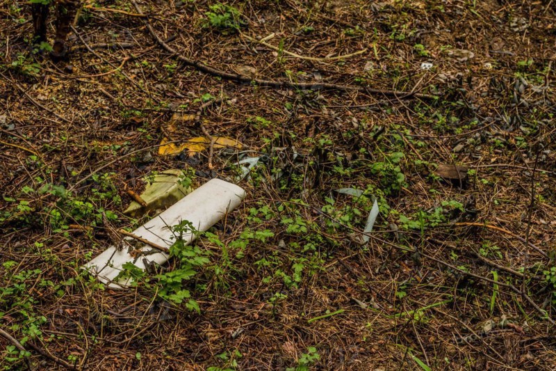 Discarded white plastic container on a forest floor indicating environmental pollution, in South Korea