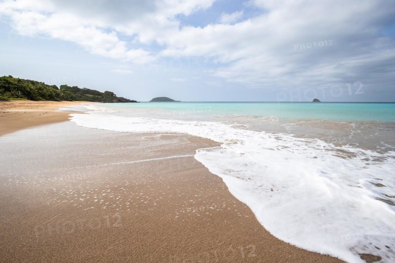 Lonely, wide sandy beach with turquoise-coloured sea. Tropical plants in a bay in the Caribbean sunshine. Plage de Cluny, Basse Terre, Guadeloupe, French Antilles, North America