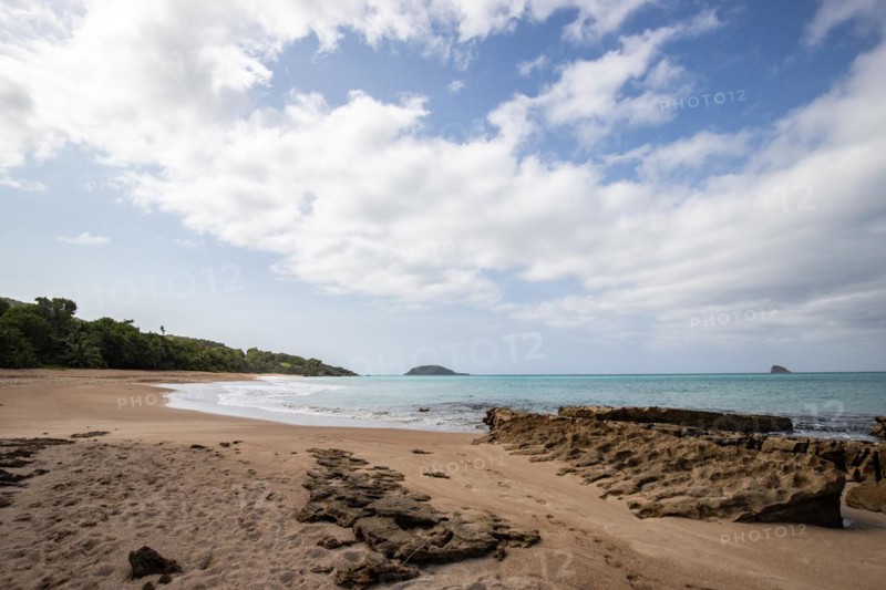 Lonely, wide sandy beach with turquoise-coloured sea. Tropical plants in a bay in the Caribbean sunshine. Plage de Cluny, Basse Terre, Guadeloupe, French Antilles, North America