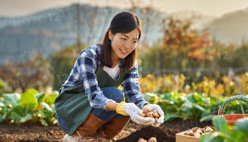 Young woman planting tulip bulbs in the ground in autumn in the garden, KI generated, AI generated