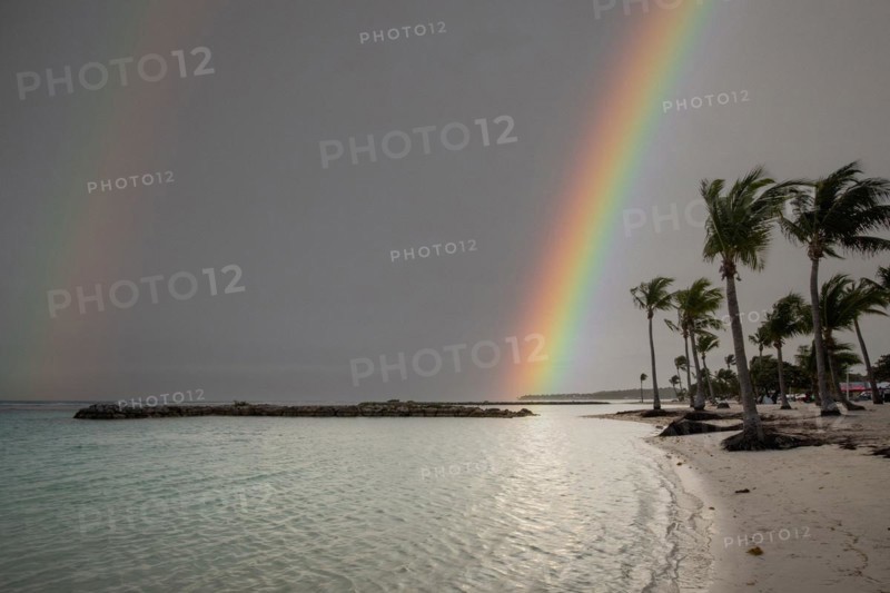 Caribbean dream beach with palm trees, white sandy beach and turquoise-coloured, crystal-clear water in the sea. Shallow bay with rainbow. Plage de Sainte Anne, Grande Terre, Guadeloupe, French Antilles, North America