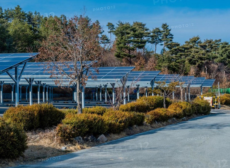 Large array of solar panels providing shade in a parking area with trees and blue sky, in South Korea