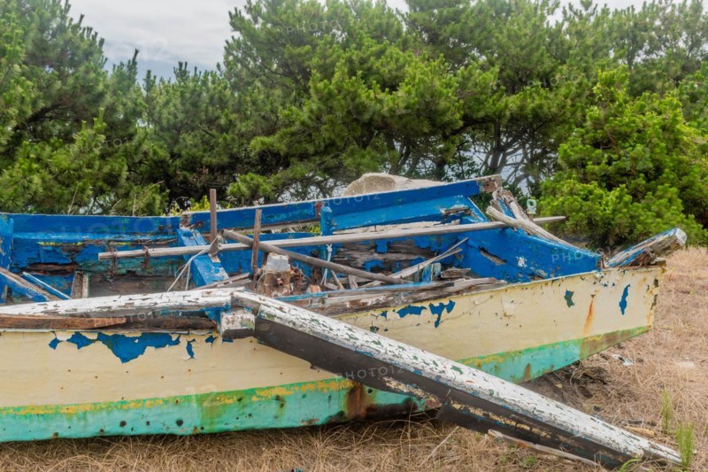 Abandoned boat wreckage with blue and yellow peeling paint amidst dense foliage, in Ulsan, South Korea, Asia