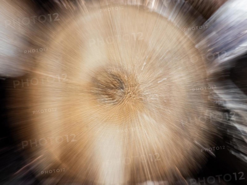 Visualisation of the annual rings in felled wood, zoom effect, Jassing, Styria, Austria, Europe