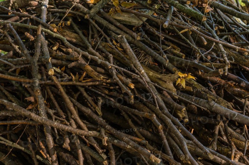 Closeup of broken branches and sticks haphazardly stacked up and held together with fishing line in South Korea
