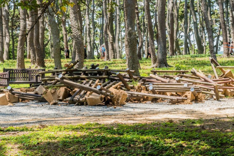 A pile of dismantled wooden logs and debris in a forest setting, in Ulsan, South Korea, Asia