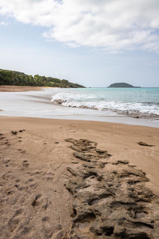 Lonely, wide sandy beach with turquoise-coloured sea. Tropical plants in a bay in the Caribbean sunshine. Plage de Cluny, Basse Terre, Guadeloupe, French Antilles, North America