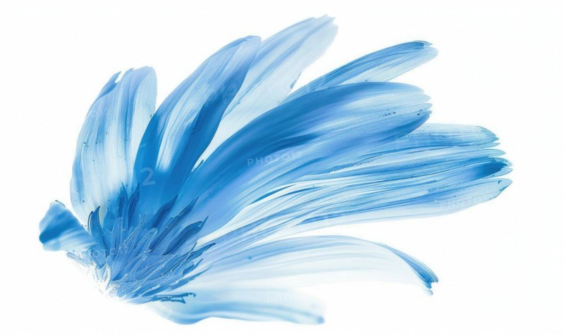 Light blue daisy flower petals on white background AI generated