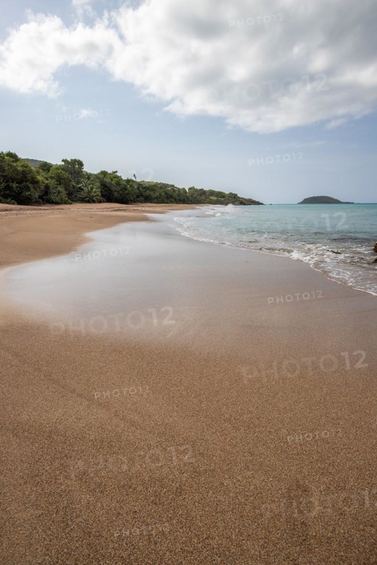 Lonely, wide sandy beach with turquoise-coloured sea. Tropical plants in a bay in the Caribbean sunshine. Plage de Cluny, Basse Terre, Guadeloupe, French Antilles, North America