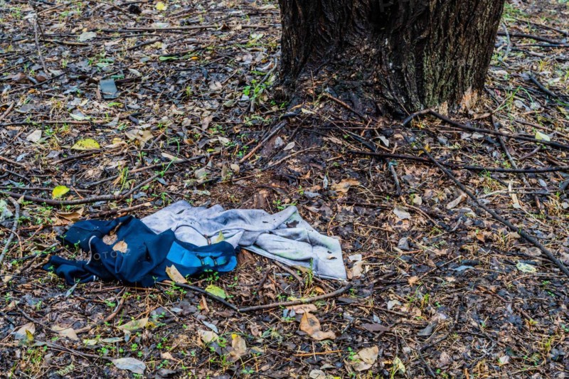 Discarded clothes on the forest ground, representing neglect and environmental littering, in South Korea