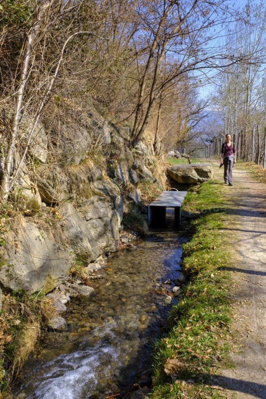 Partschinser Waalweg, Partschinser Sagenweg, Partschins, Vinschgau Valley, South Tyrol, Italy, Europe