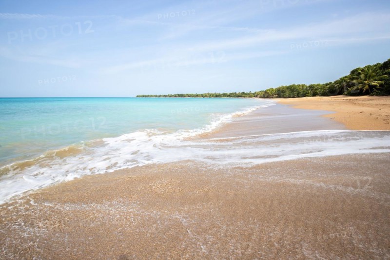 Lonely, wide sandy beach with turquoise-coloured sea. Tropical plants in a bay in the Caribbean sunshine. Plage de Cluny, Basse Terre, Guadeloupe, French Antilles, North America